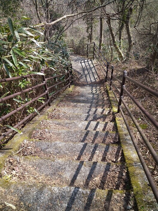 須雲川自然探勝歩道の階段